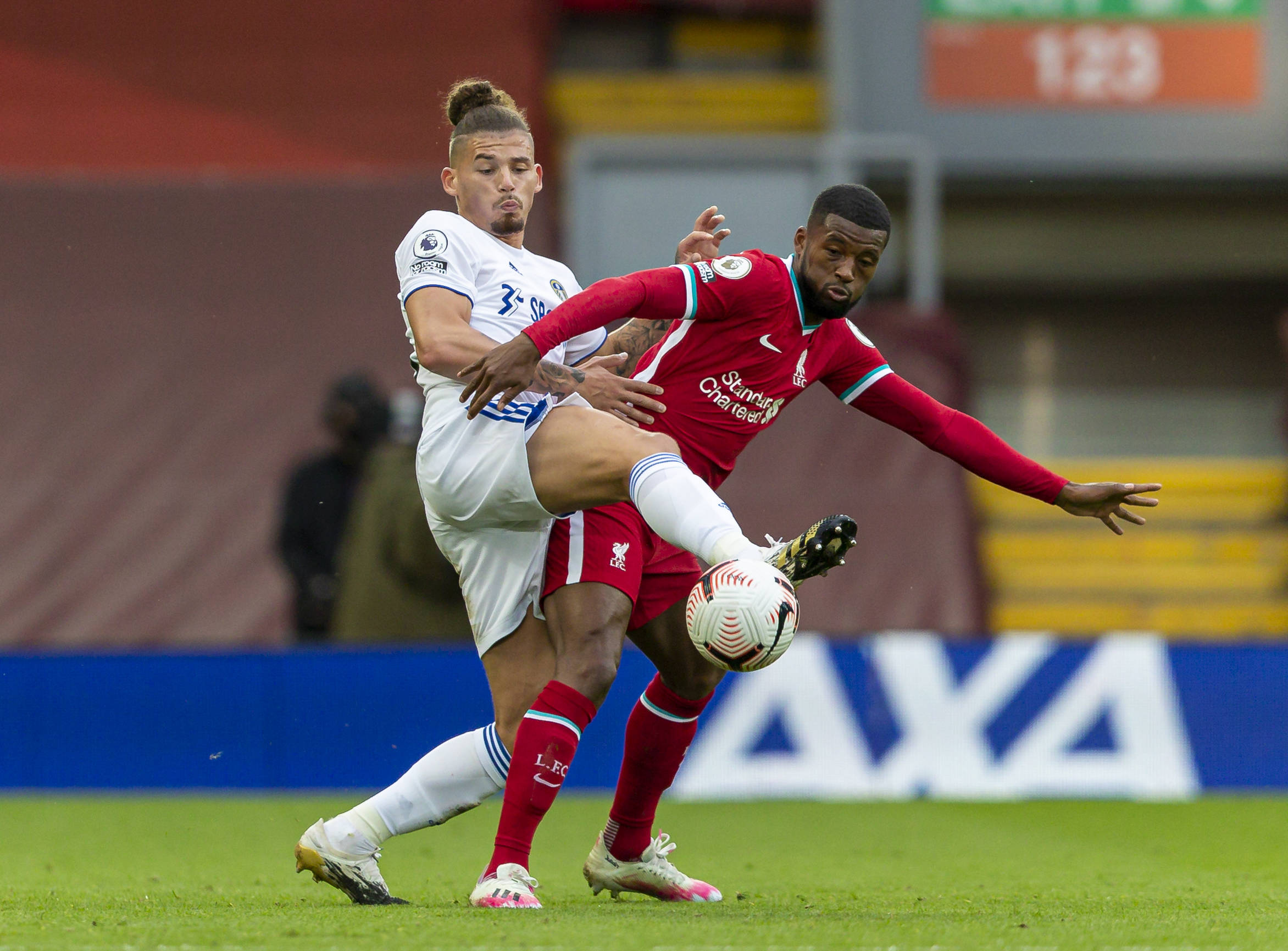 胜利的因素 胜利的因素