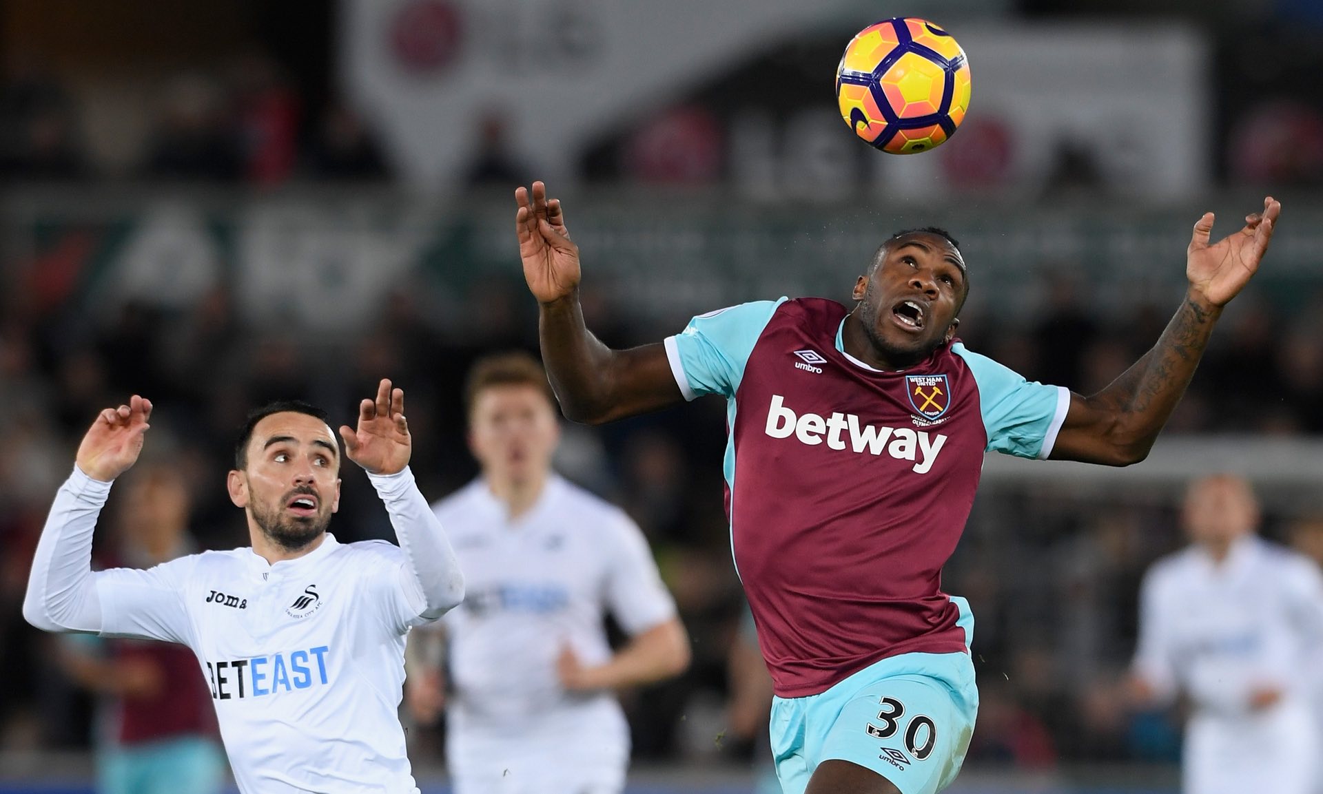 他们喝彩的 他们喝彩的